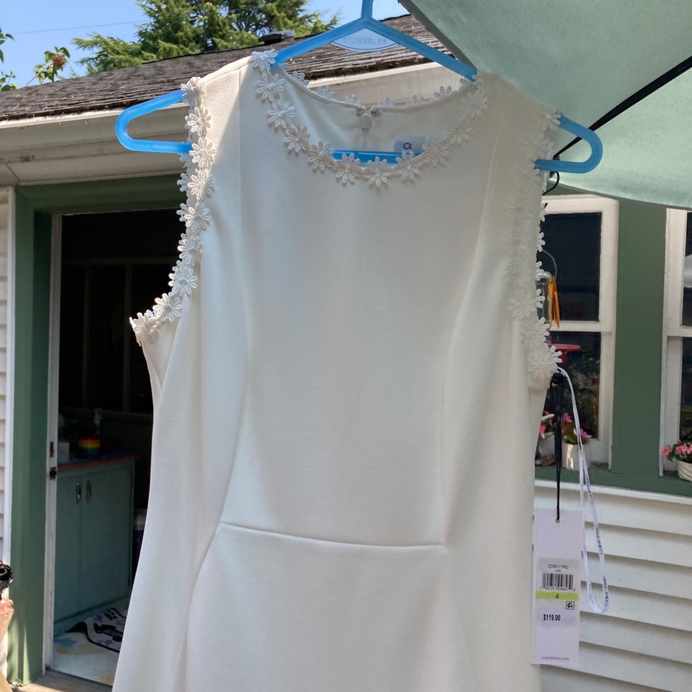 Dainty Flower’s Around Neckline Dress